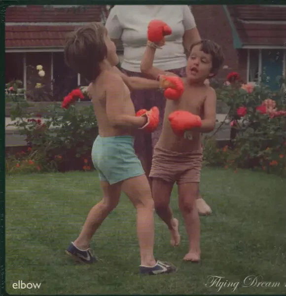 Elbow Flying Dream 1 LP Vinyl 3578474 NEU