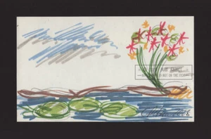 Almohadillas de lirio + flores, serie de bocetos 2008 C Peterson * Dibujo original con bolígrafo de tinta - Imagen 1 de 20