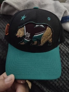 Zephyr Anaheim Ducks "Jersey Bear" Structured Curved Bill ADJ Hat BRAND NWT NHL - Picture 1 of 6