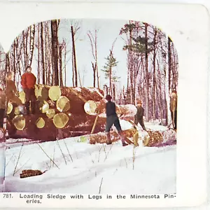 Minnesota Loggers Loading Logs Stereoview c1905 Lumberjacks Worker Men Snow I18 - Picture 1 of 4