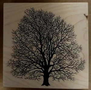 PSX Rubber StampK-1457 BARE OLD TREE Oak Walnut STUNNING Vintage 1995 BEAUTIFUL - Bild 1 von 4