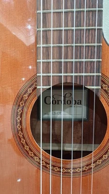 Cordoba C5-CE Semi Classical  Acoustic-Electric Guitar,  Rare Version - Image 1 of 4