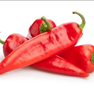 Sweet Red Paprika 60 Seeds | Productive Garden Variety | Mild Flavour Capsicum - Picture 1 of 3