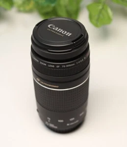 ⭐Like New Canon EF 75-300mm f/4-5.6 III USM Ultrasonic Telephoto Zoom Lens - Picture 1 of 4