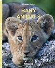 Baby Animals By Michael Poliza