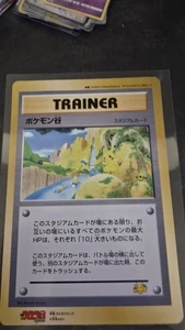 Pokemon Valley (Jumbo) Corocoro Promo Karten Regular (Japanisch) - Bild 1 von 5