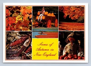 Autumn Scenes-New England Postcard By Jim McElhom Unposted - Foto 1 di 2