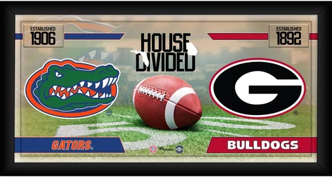 Florida Gators vs Georgia Bulldogs Frmd 10" x 20" House Divided Football Collage Cover