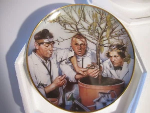 DREI 3 HANDLANGER SAMMLERTELLER "BAUMCHIRURGEN" FRANKLIN NEUWERTIG mit ZERTIFIKAT - BOX - Bild 1 von 5