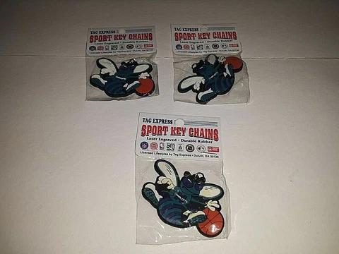 Charlotte Hornets Sport Key Chains ( set of three ) Cover