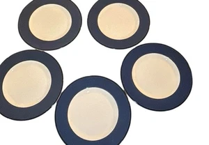 Set Of 5 Vintage Italian Pagnossin Treviso Blue Salad/Dessert Plates - Picture 1 of 8