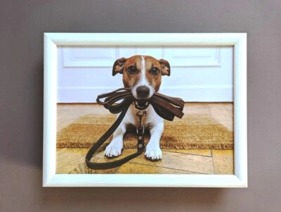 Knietablett Tablett Betttablett Kissentablett "Jack Russel" "Hund" von Mars&More - Bild 1 von 2