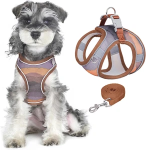Pettorina per Cani Con Guinzaglio anti Tiro Riflettente Mesh Traspirante Stampat - Foto 1 di 12