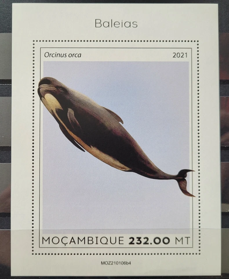 Mozambique 2021 / Marine Life - Killer Whale ( Orca ) / 1v ms - Image 1 of 1