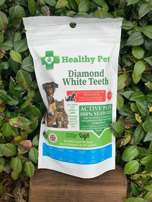 健康宠物 钻石白牙齿 220 克补充活性加 100% 海藻 — 第 1/4 张图片