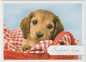 "Get Well Soon" Greeting Card - NEW - Picture 1 of 3