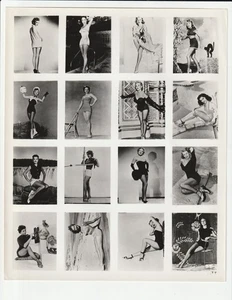 HOLLYWOOD  STARLETS " pin-up/bathing suits" COMPOSITE 1950s mail-out PHOTO sheet - Picture 1 of 2