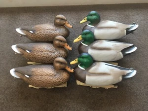 Flambeau Storm Front Uvision mallard Decoys 6pk - Picture 1 of 5