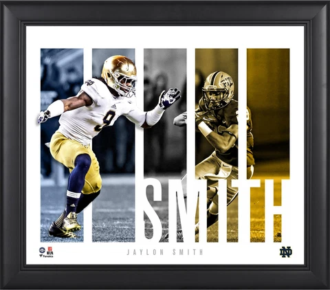 Jaylon Smith Notre Dame Fighting Irish Framed 15x17 Player Panel Collage Cover