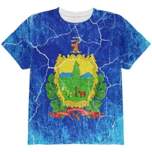 Vermont Vintage Distressed State Flag All Over Youth T Shirt - Picture 1 of 1