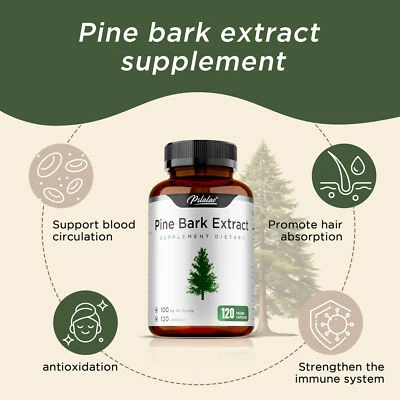 Kiefernrindenextrakt -Erhaltung der Augen- und Blutgefäßgesundheit,Antioxidative - Bild 1 von 4