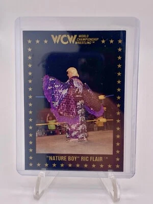WCW Wrestling 1991 Cards - Pick what you want!! - Image 1 of 4