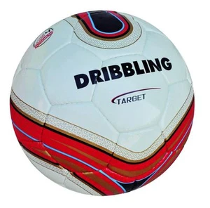Fußball DRIBBLING TARGET - Größe 5 - Qualität 4 Schichten PU - Wettbewerb - WEISS - Bild 1 von 2