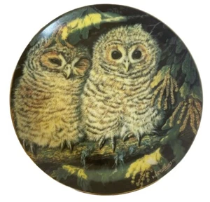 Tawny Owls Teller von Dick Twinney The Danbury Mint, Baby Eulen Sammlung (1988) - Bild 1 von 5