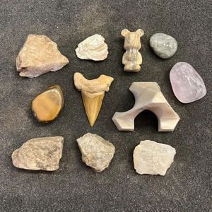 Estate Sale Fossils and Crystal Mineral Specimen Collection Lot - Picture 1 of 13