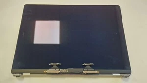 Genuine MacBook Pro 13" 2020 A2251 EMC 3348 LCD Screen Assembly Silver Faulty - Picture 1 of 9