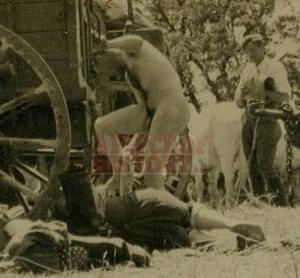 FOTO ORIGINAL DE DESNUDOS ALEMANES DE LA SEGUNDA GUERRA MUNDIAL DESNUDO SOLDADO DESNUDO TOMANDO EL SOL - Imagen 1 de 2
