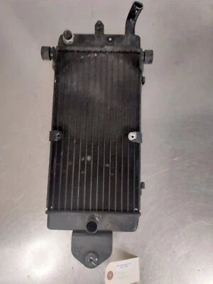 Conjunto de radiador Honda Shadow Spirit VT1100 2003 Foto 1 de 4