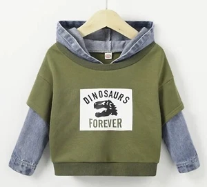 Denim Hoodie Dinosaur Sweatshirt Boy Choice Sizes 4/5 - 5/6 Pullover NWT - Picture 1 of 6