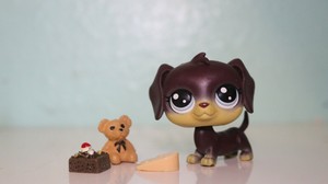 100% AUTHENTIC Littlest Pet Shop Lot #84 Dara Longville Dachshund w Accessories
