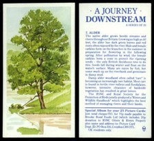 Alder #7 A Journey Downstream 1990 Brooke Bond Tea Card