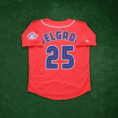 Carlos Delgado 2001 Toronto Blue Jays 25th Anniversary Home/Road/Alt Men Jersey - Image 1 of 2