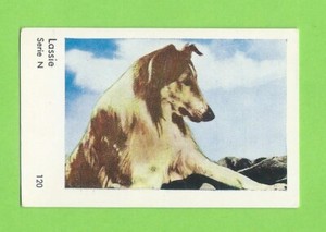 1962 Dutch Gum Card Serie N #120 Lassie