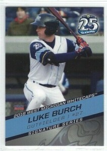 2018 West Michigan Whitecaps (Class A-Detroit Tigers) Luke Burch