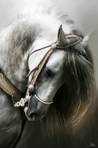 Modern Home Decor Living Room Wall Art Horse Oil Painting HD Printed on Canvas - Picture 1 of 7