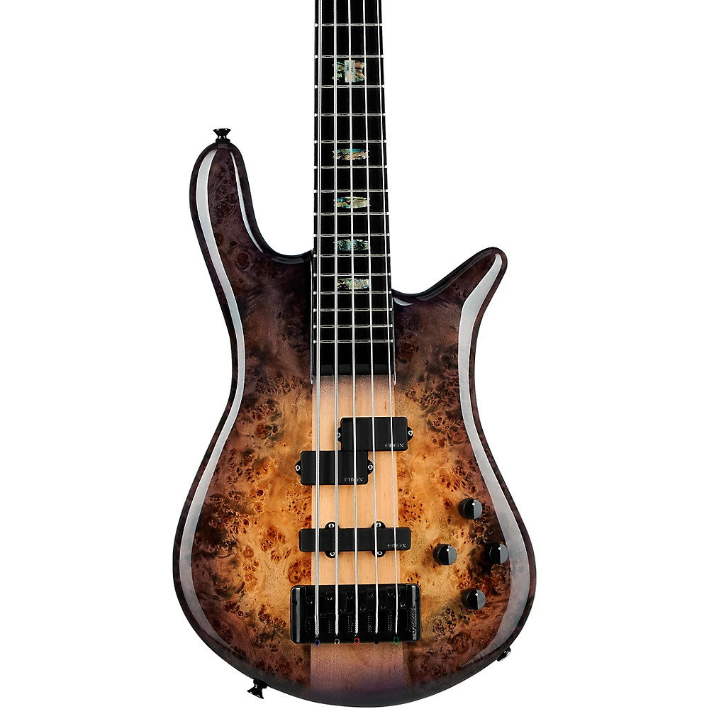SPECTOR Legend5 EMG 40J搭載 5弦ベース 各所カスタム済 SPECTOR Legend5 Classic Black Cherry Gloss【スペクター 5弦
