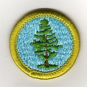 Forestry Merit Badge Type H Plastic Back (1972 - 2002), Mint! - Picture 1 of 1