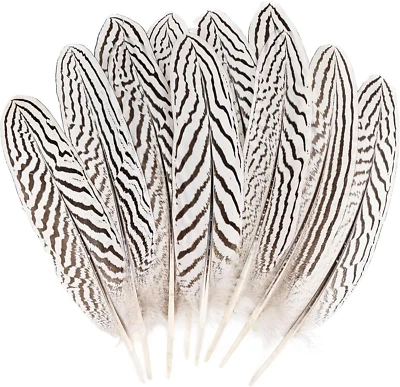 12 piezas plumas de faisán plateado a granel plumas naturales manchadas pluma de faisán para Foto 1 de 4