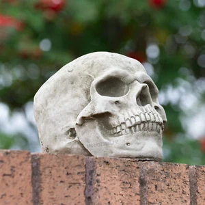 Small 18cm Heavy Stone Human Skull Garden Ornament Concrete Statue Lawn Figure - Picture 1 of 8