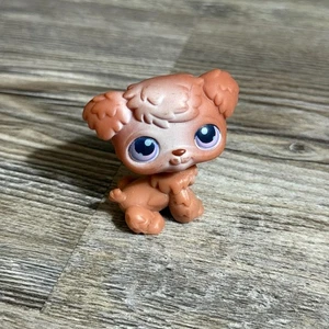 Hasbro Littlest Pet Shop #39 Brown Poodle Purple Eyes LPS Authentic - Picture 1 of 6