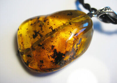 Genuine Amber Baltic Amber Necklace/Pendant ...