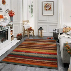 Indoor Outdoor Area Rug Patio Deck Porch Floor Mat Carpet Runner Nylon Pad 5x8 - Picture 1 of 11