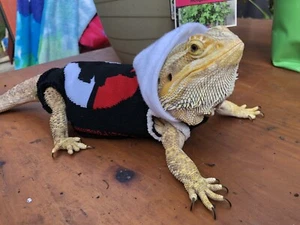 POKÉMON BATTLE #2 XLRG SLEEVELESS BODY HOODY HANDMADE SHIRT 4 BEARDED DRAGON - Picture 1 of 12