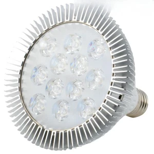 LED Light Bulb for Red Light Therapy, 850nm Near Infrared, 24W Class - Picture 1 of 9