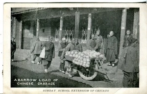 China Barrow Load of Cabbage Chicago Sunday School Extension published postcard - Picture 1 of 3