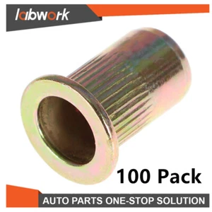 Labwork Flat Head Nut Threaded Insert Nut 100 Pack M6 Metric Carbon Steel Nut - Picture 1 of 15